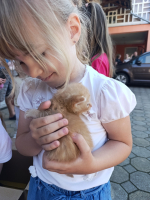 1780469187937