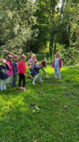 IMG-cbbc7d150d7bbb6175c22ffb27d236dd-V