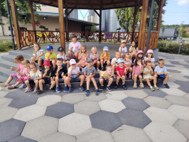 IMG-0b5b6035c22d2adc0634c69fb5b19ba7-V